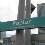 Poplar 1